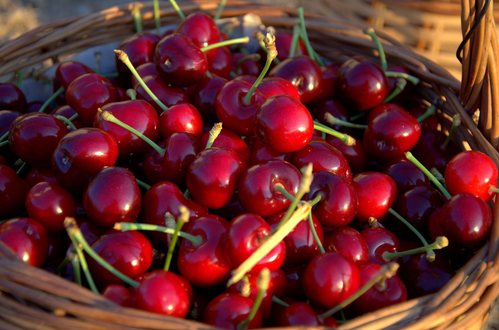 Cesta de cerezas